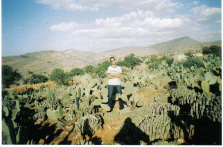 noujoum oudaden